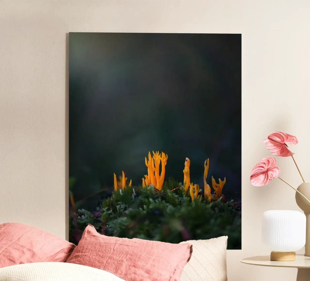 Funghi details plexiglass da Tom's Wildlife