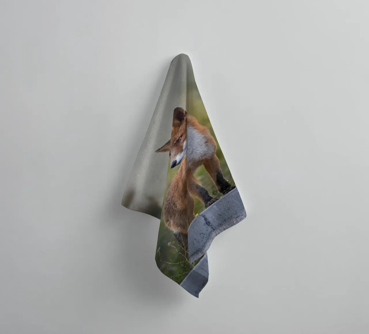 Red Fox in the dunes towel by Tom's Wildlife