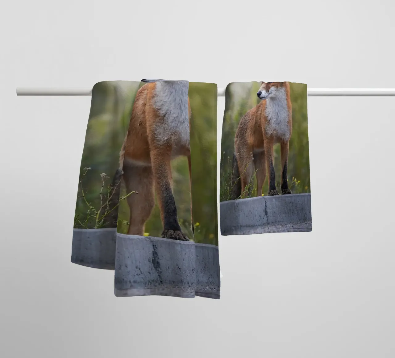 Red Fox in the dunes towel by Tom's Wildlife