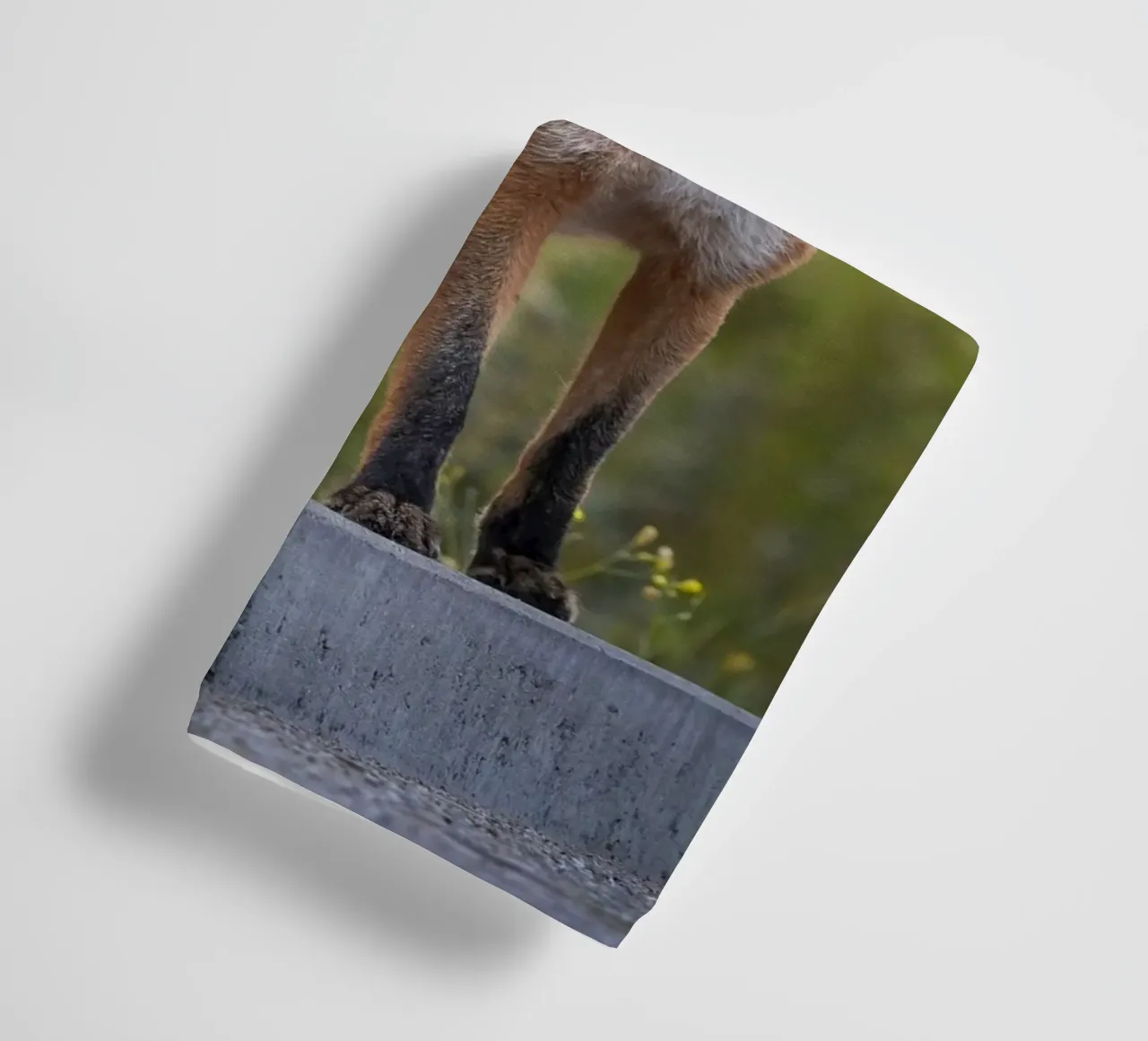 Red Fox in the dunes towel by Tom's Wildlife