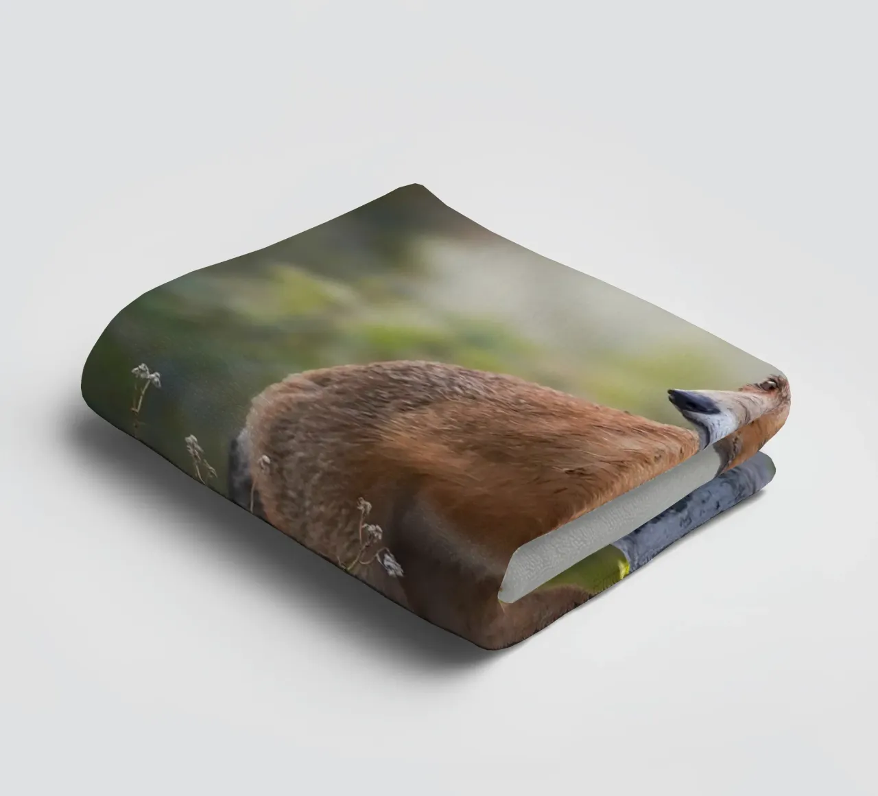 Red Fox in the dunes towel by Tom's Wildlife
