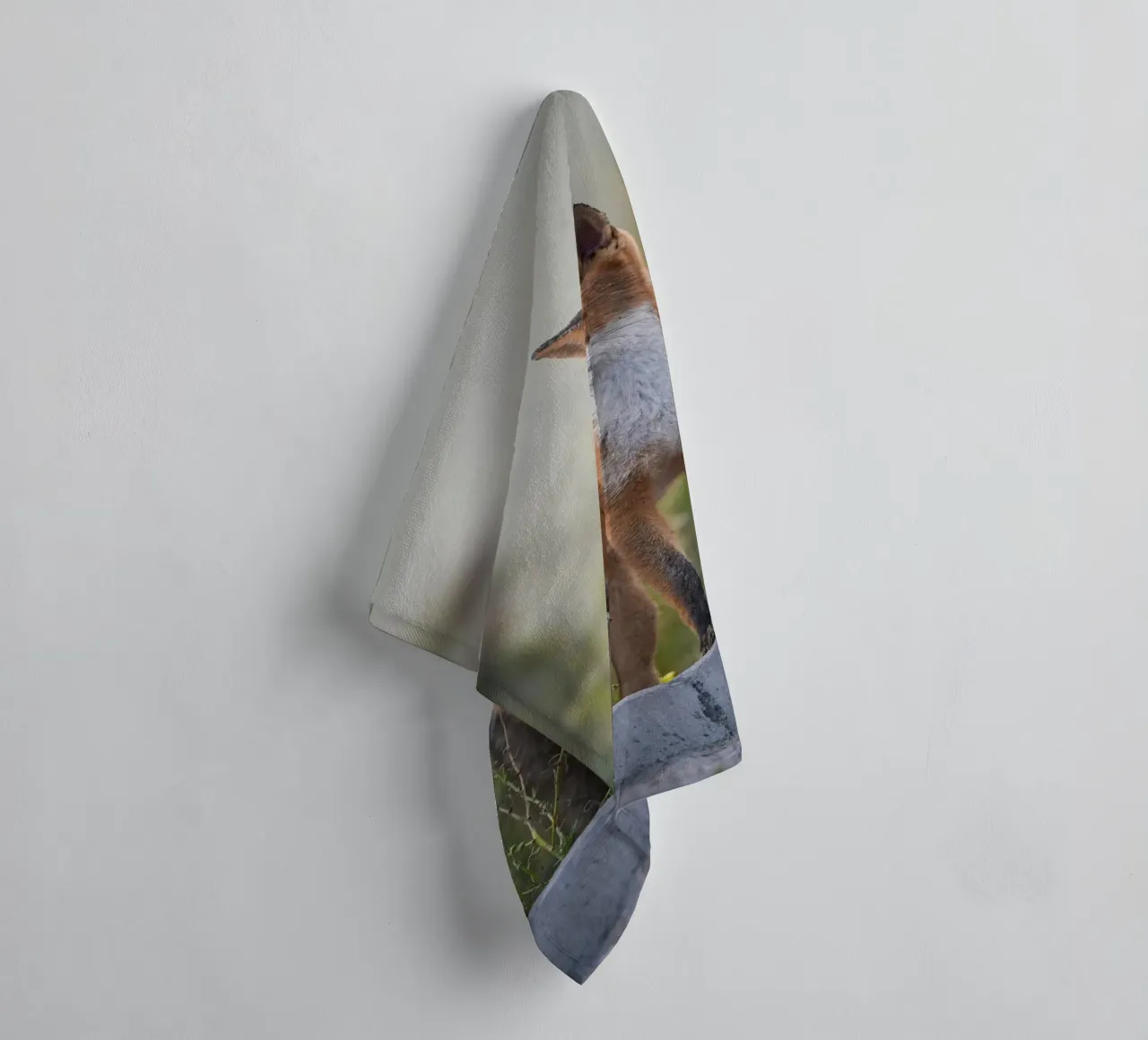 Red Fox in the dunes towel by Tom's Wildlife