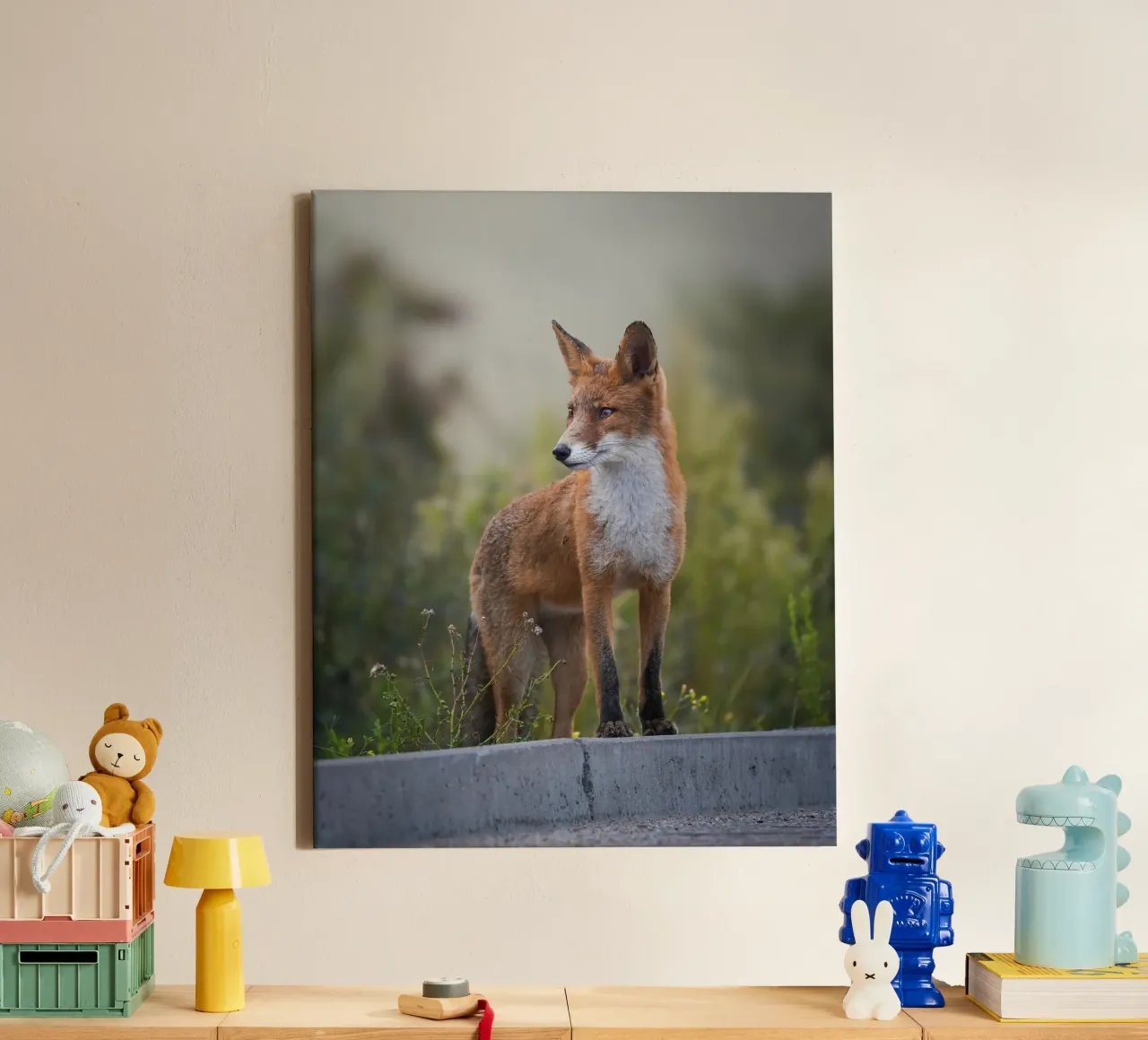 Red Fox in the dunes canvas by Tom's Wildlife