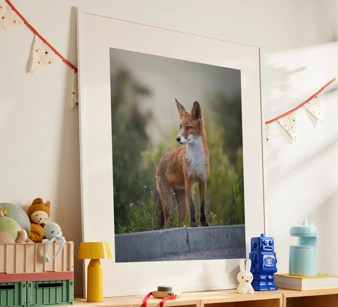 Red Fox in the dunes hahnemühle by Tom's Wildlife