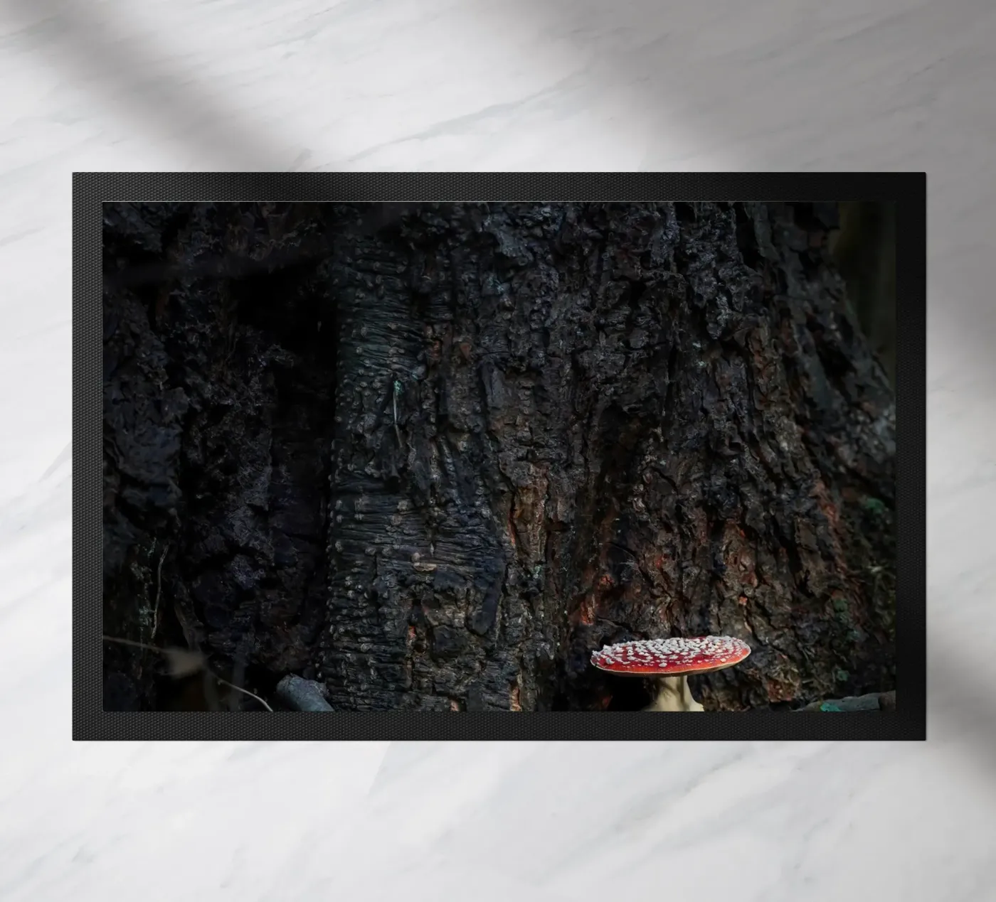 Fly agaric funghi doormat by Tom's Wildlife