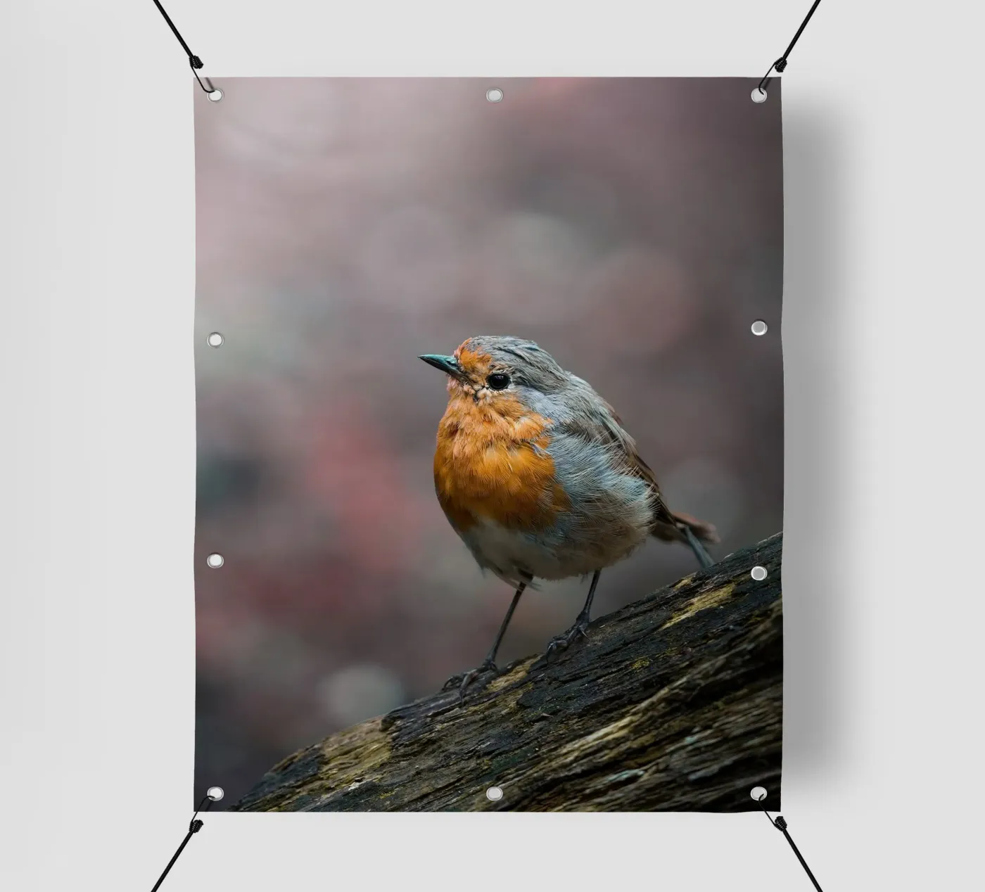 Robin PVC Plane von Tom's Wildlife
