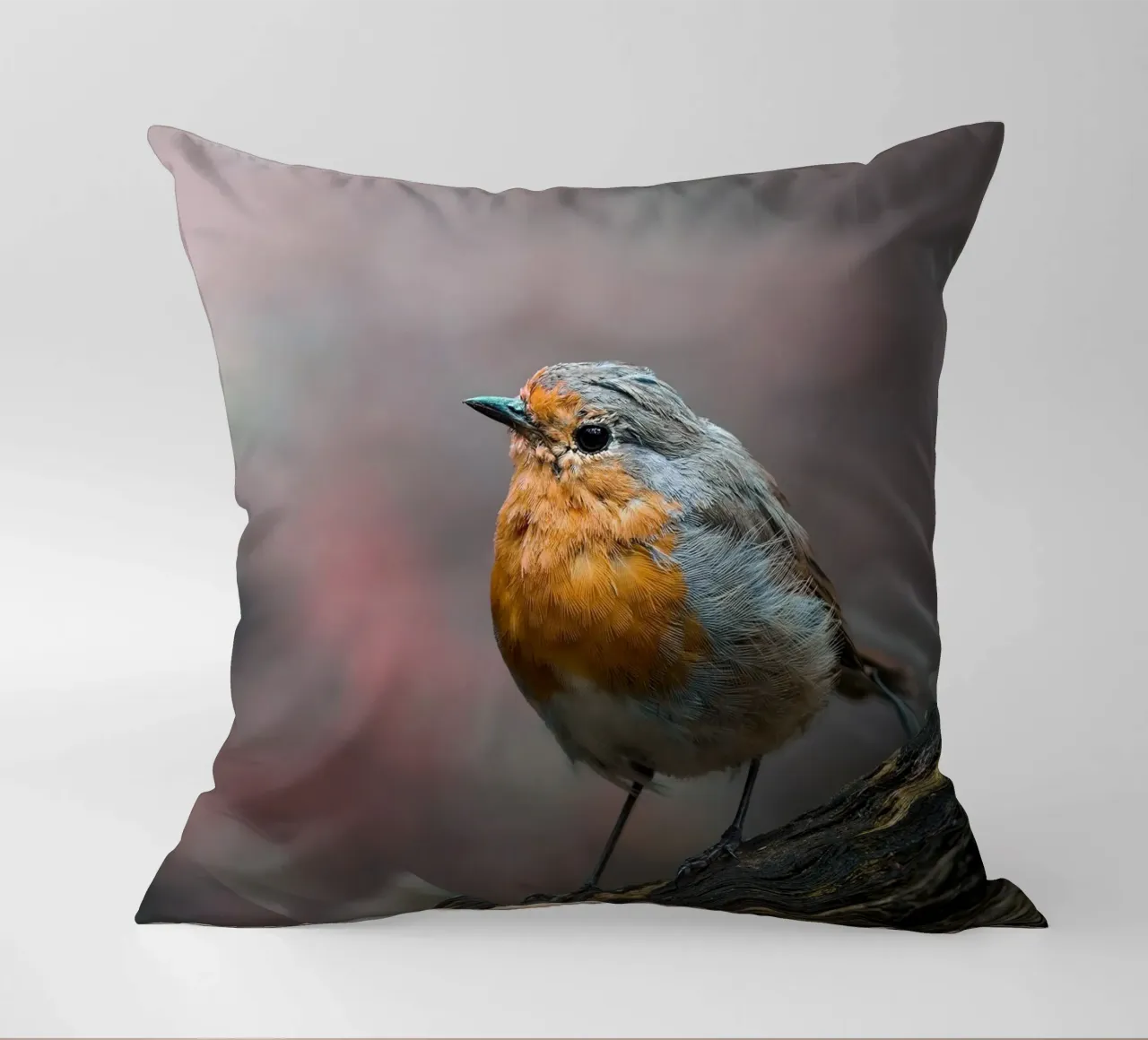 Robin cuscino da Tom's Wildlife