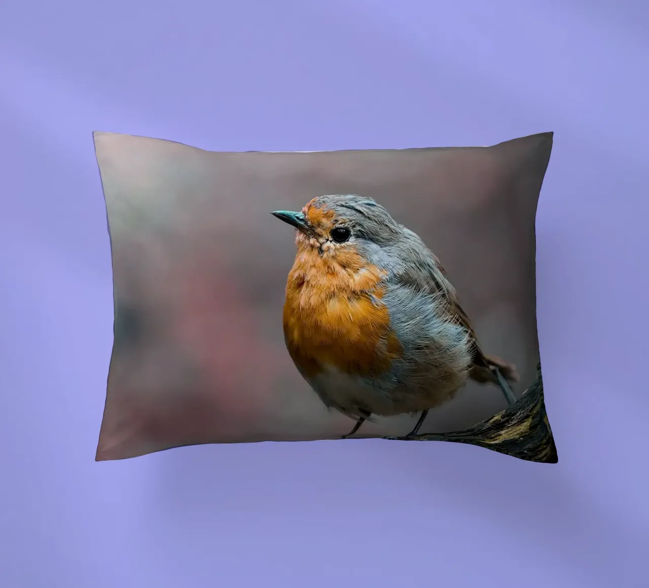 Robin cuscino da Tom's Wildlife