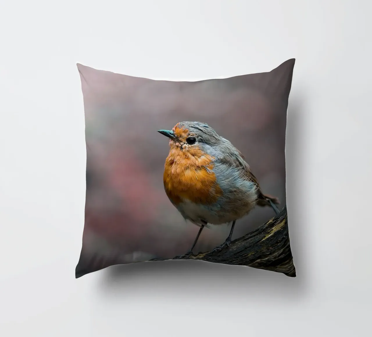 Robin cuscino da Tom's Wildlife