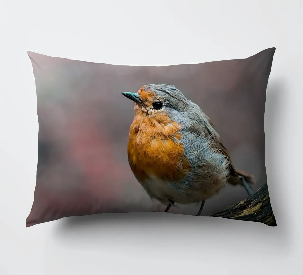 Robin cuscino da Tom's Wildlife