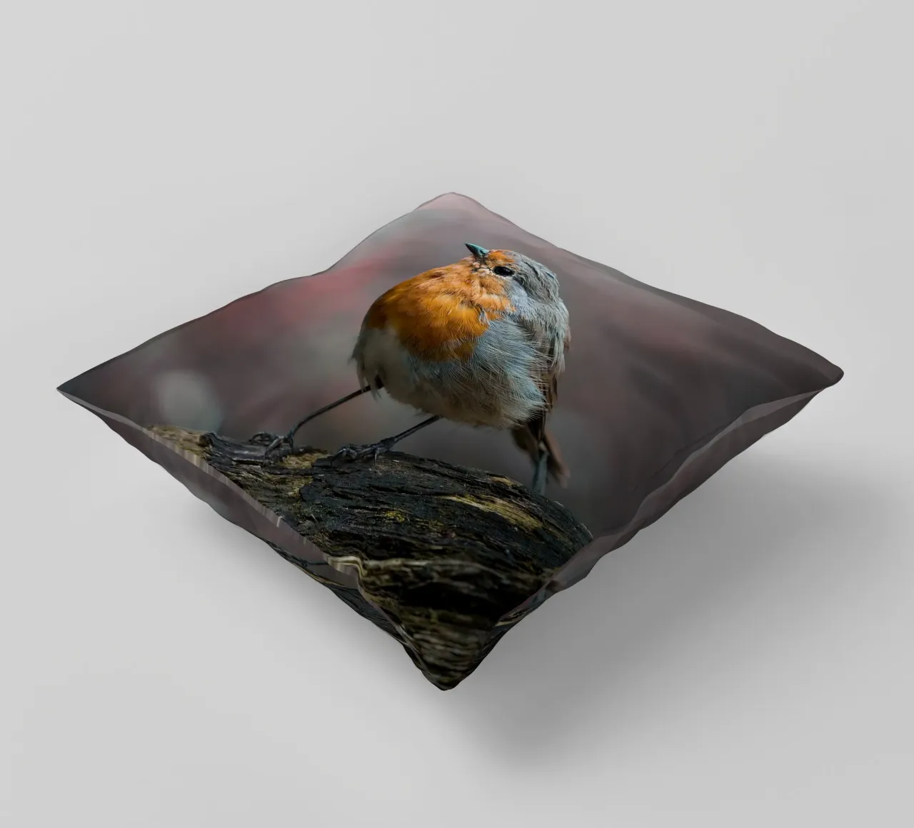 Robin cuscino da Tom's Wildlife
