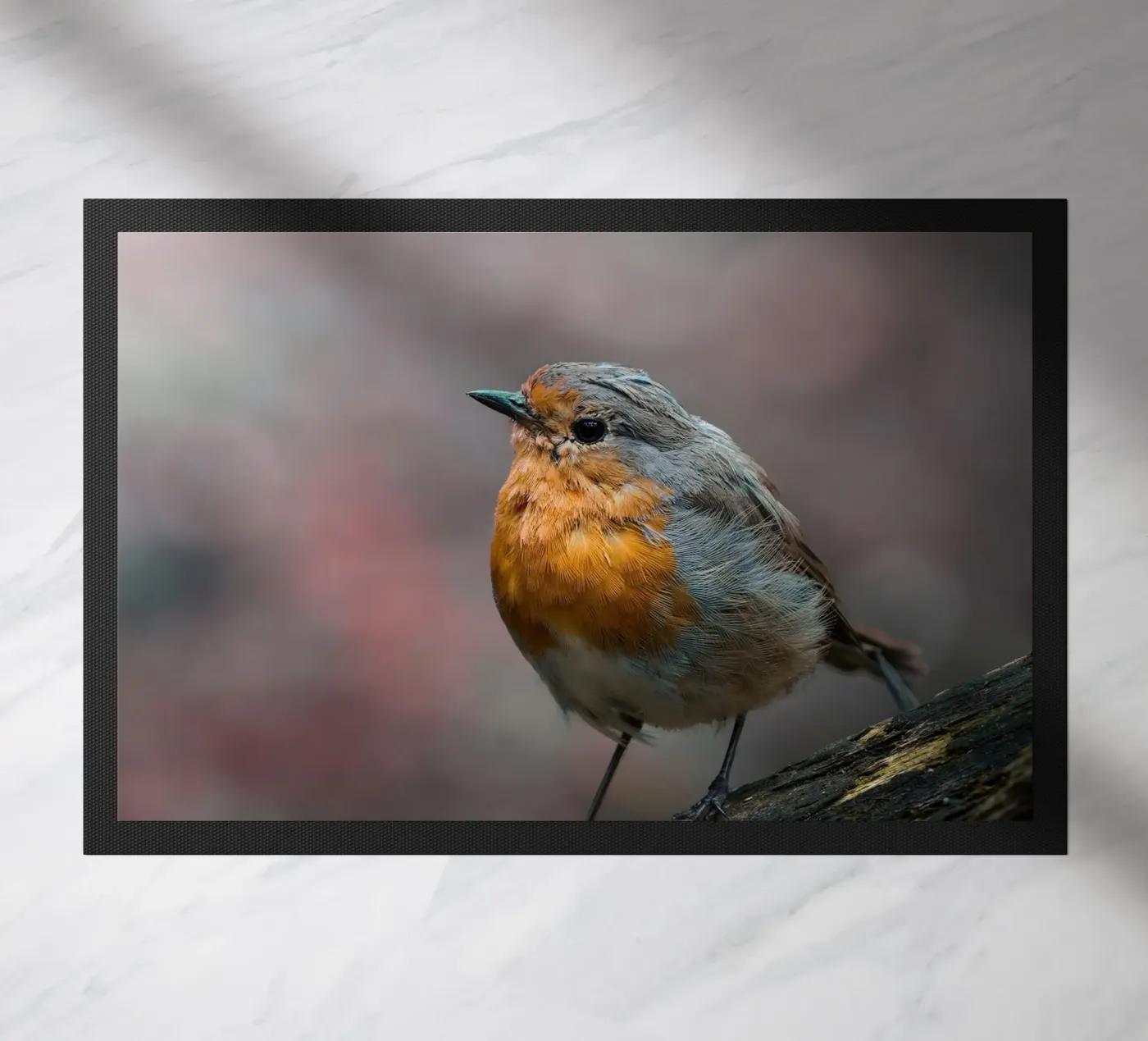 Robin deurmat van Tom's Wildlife