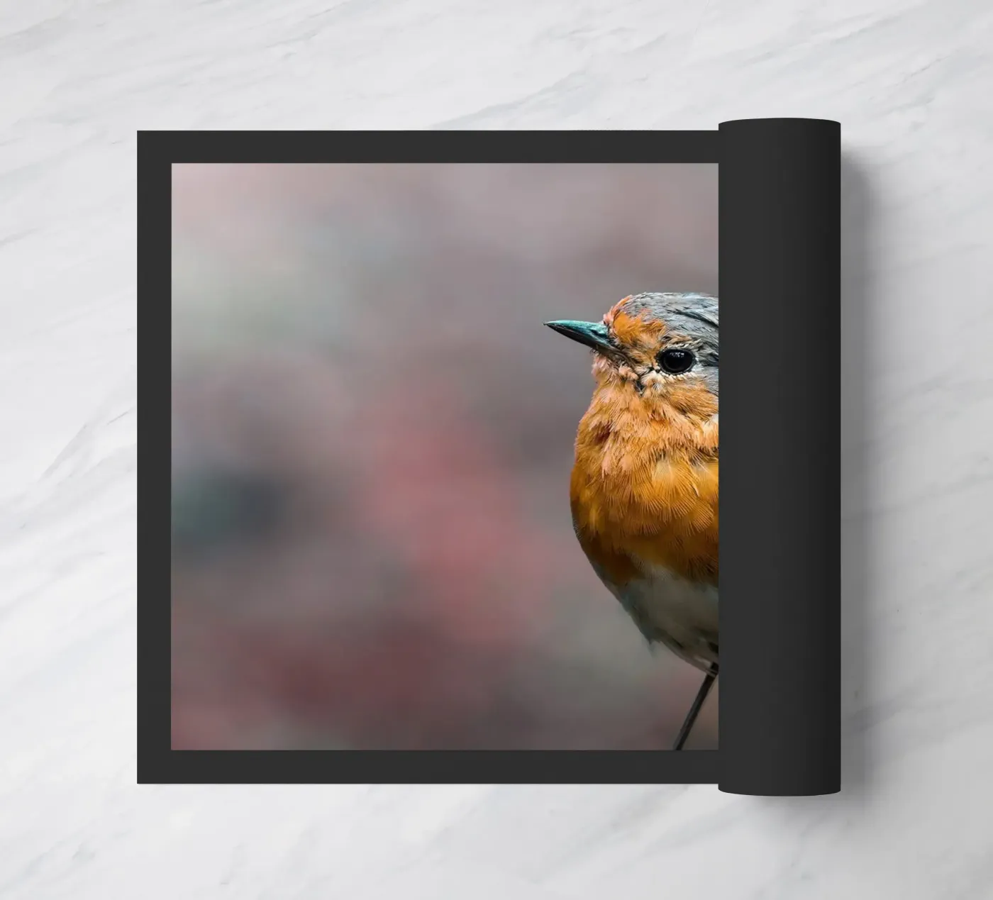 Robin deurmat van Tom's Wildlife