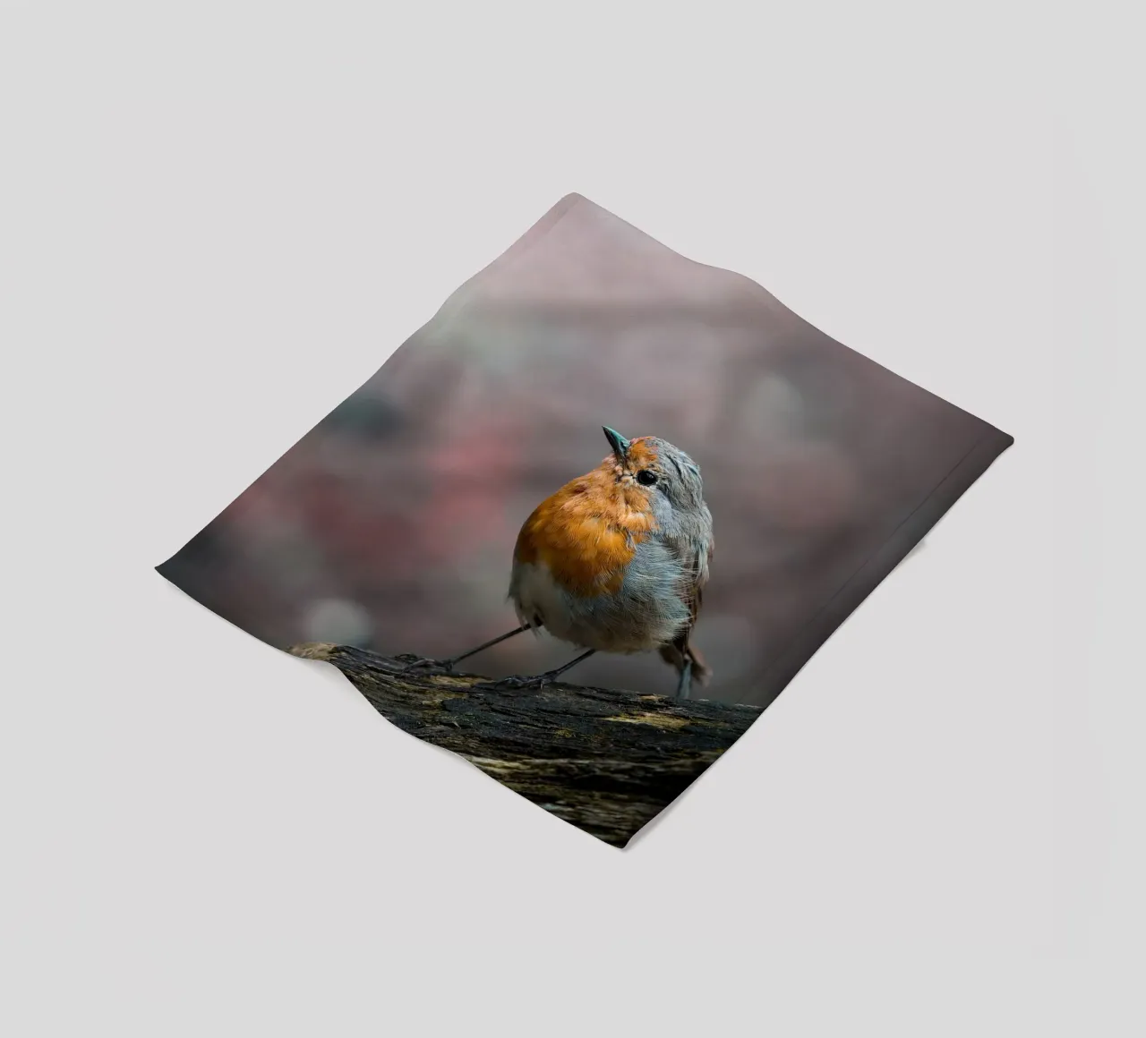 Robin coperta in pile da Tom's Wildlife
