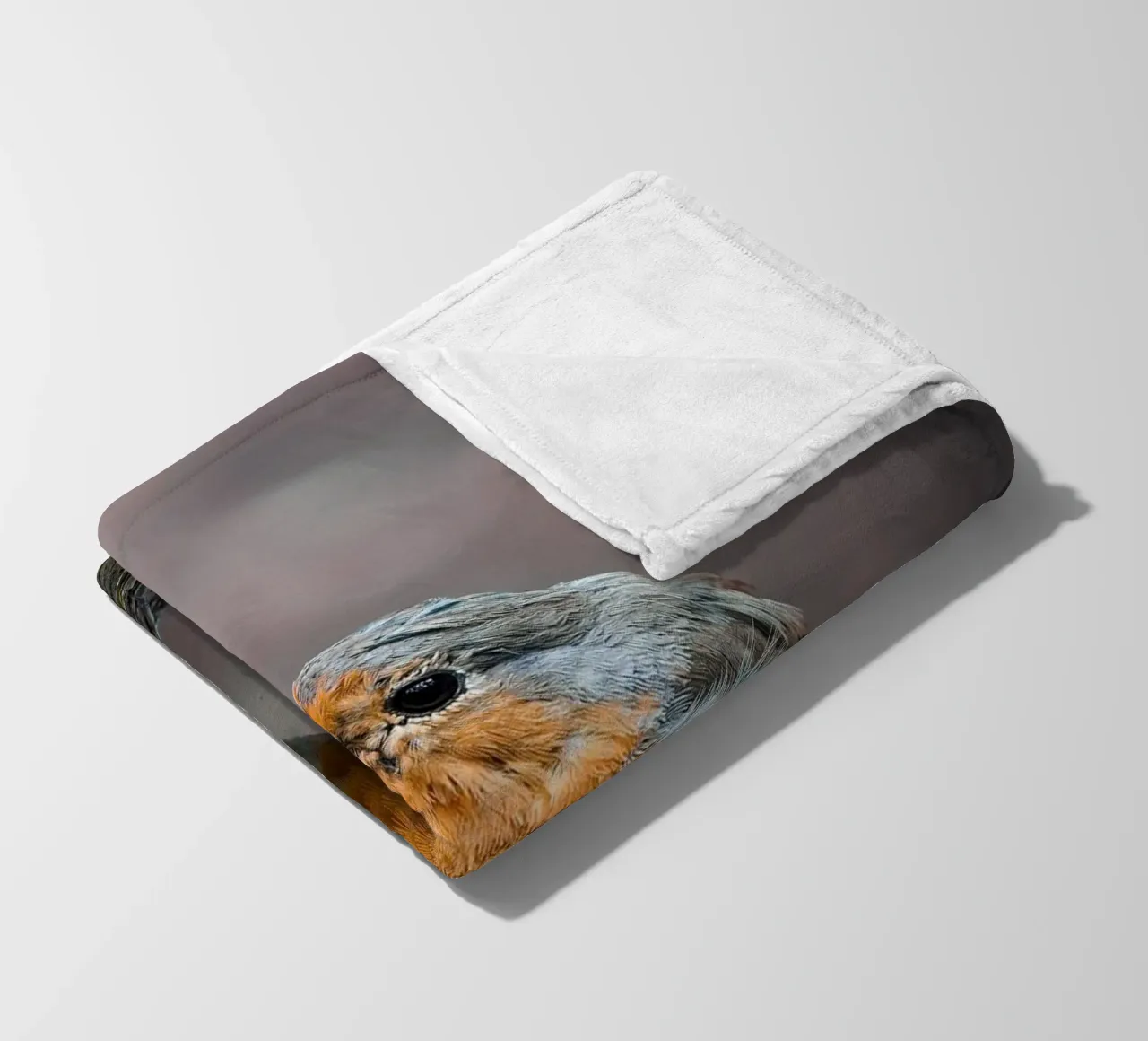 Robin coperta in pile da Tom's Wildlife