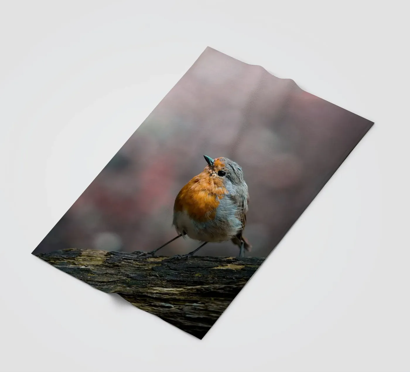 Robin fleecedeken van Tom's Wildlife