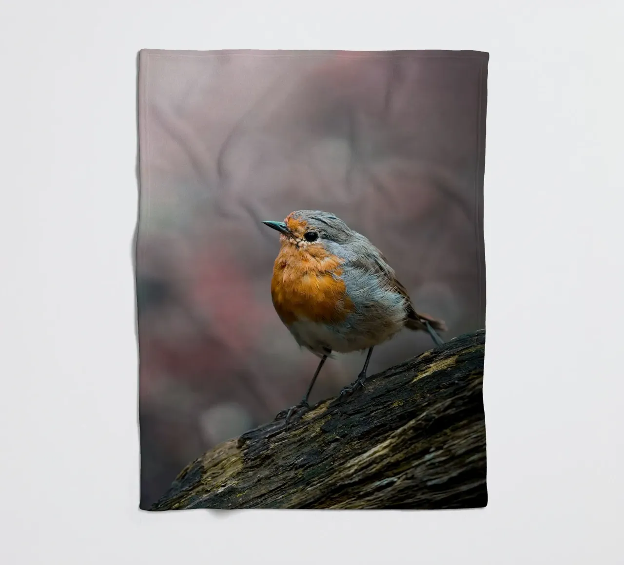 Robin coperta in pile da Tom's Wildlife