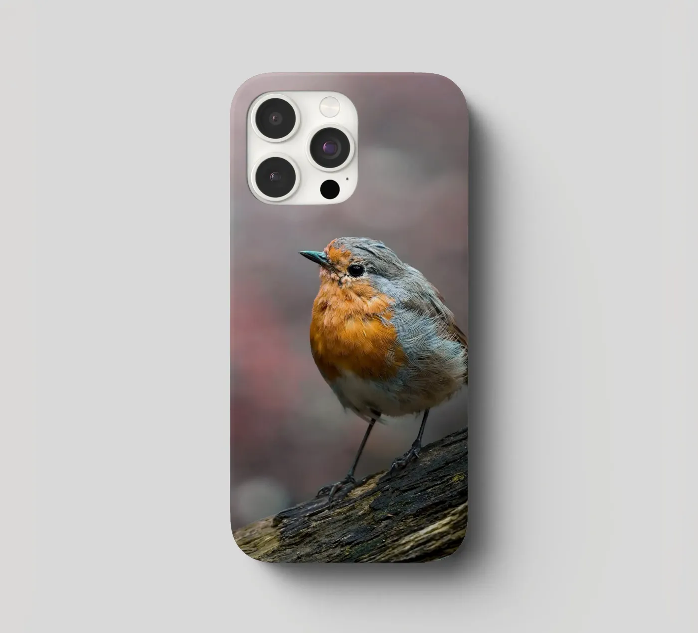 Robin iphone case by Tom's Wildlife