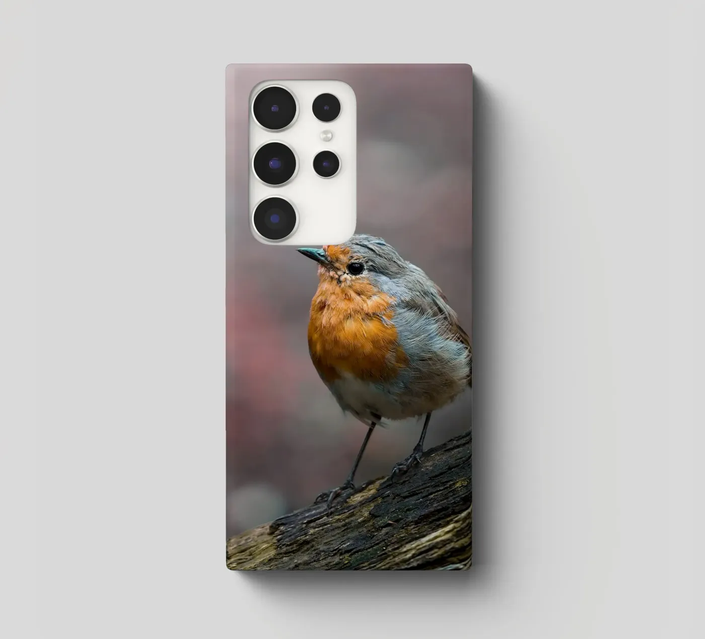 Robin coque samsung de Tom's Wildlife