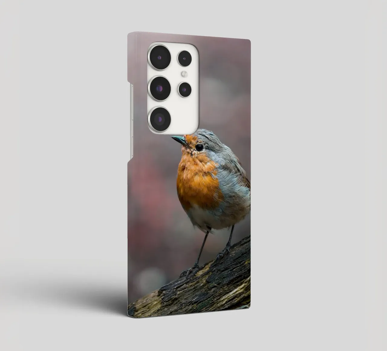 Robin cover samsung da Tom's Wildlife