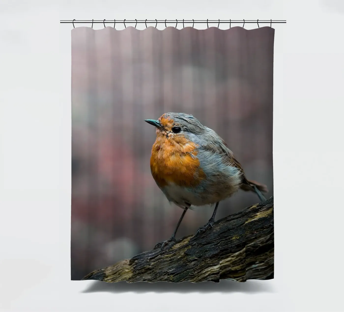 Robin douchegordijn van Tom's Wildlife