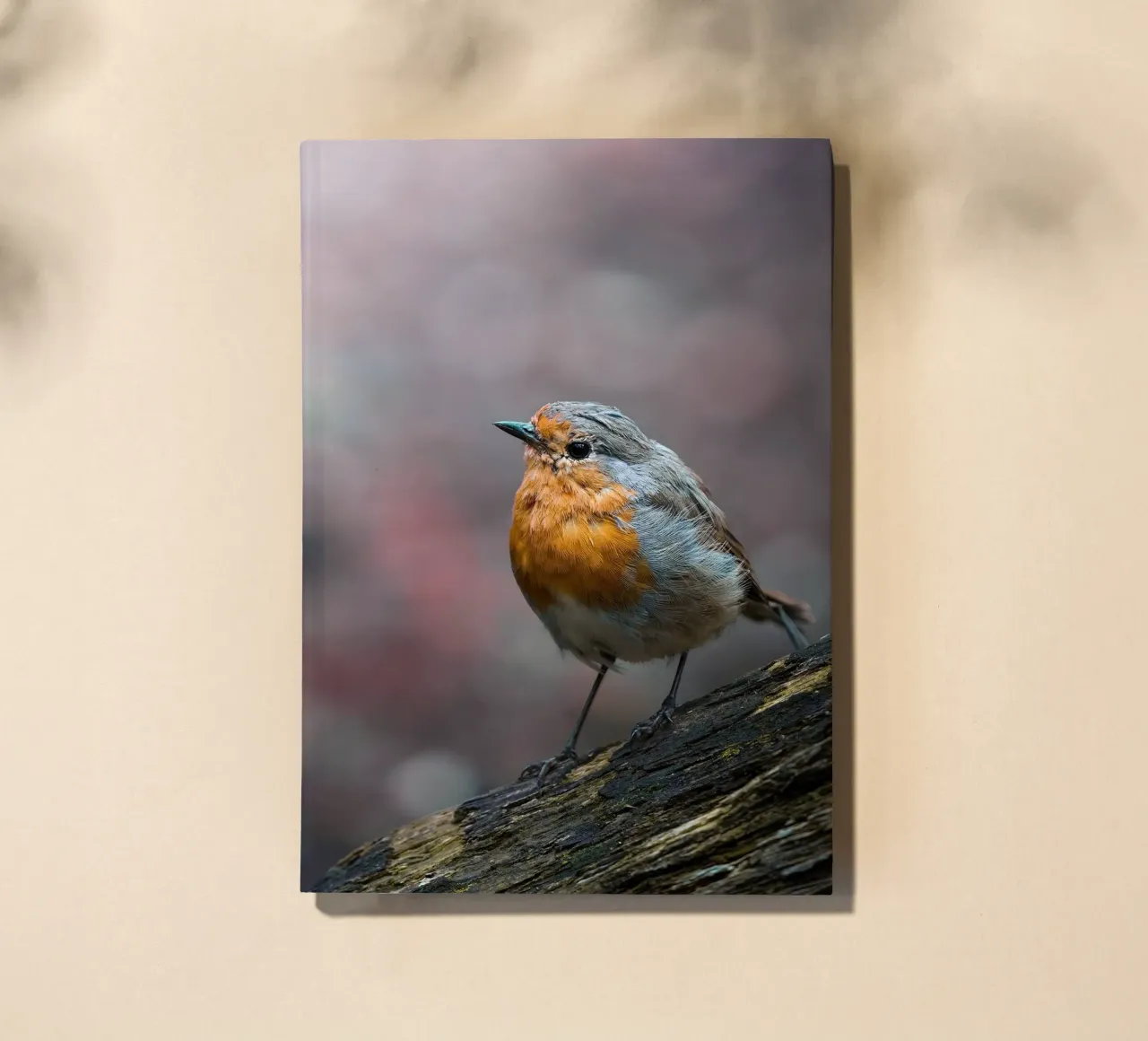 Robin notebook by Tom's Wildlife