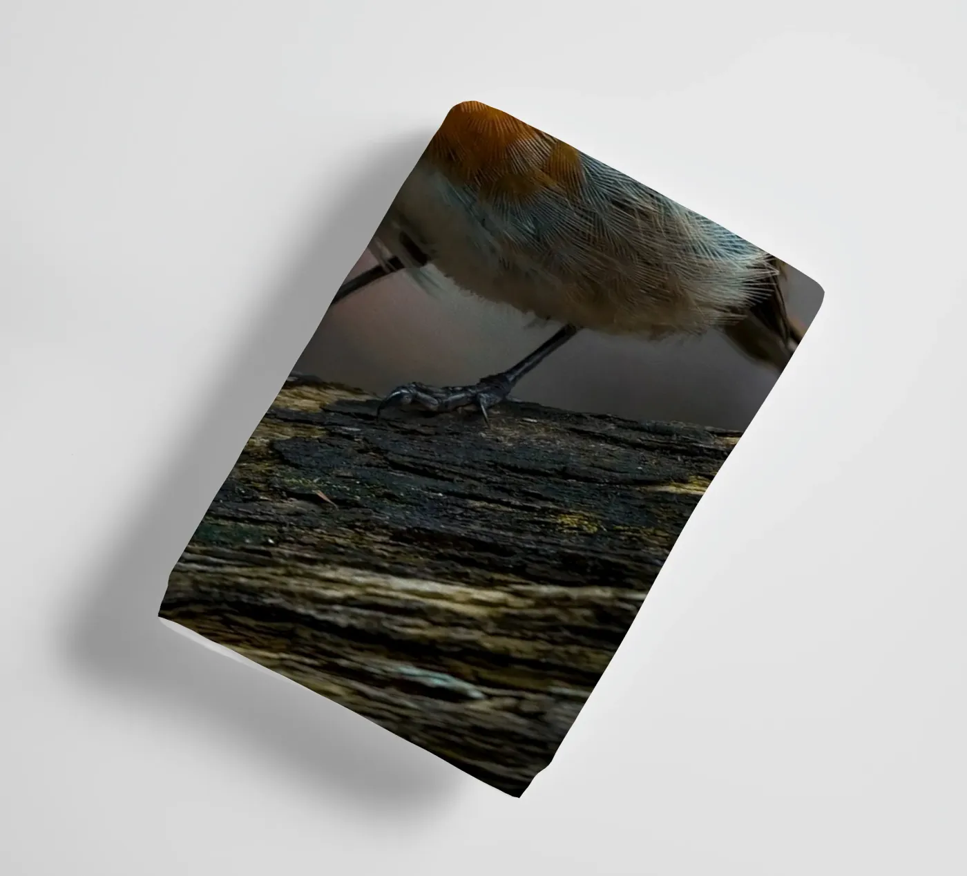 Robin badhanddoek van Tom's Wildlife