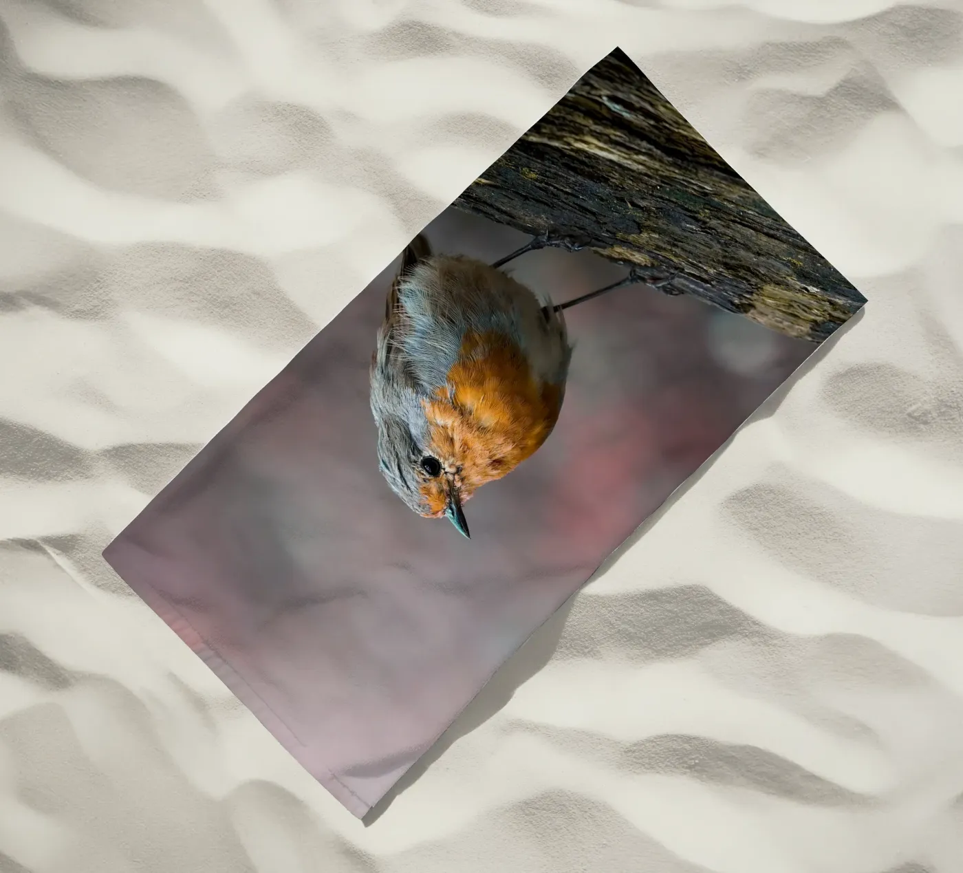 Robin Strandtuch von Tom's Wildlife