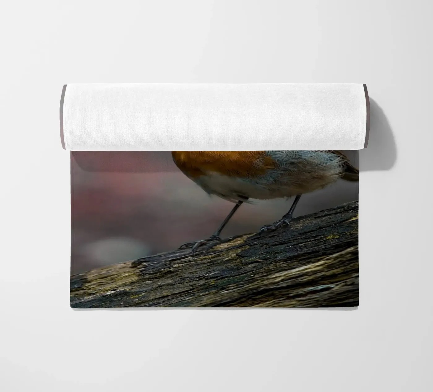 Robin Strandtuch von Tom's Wildlife