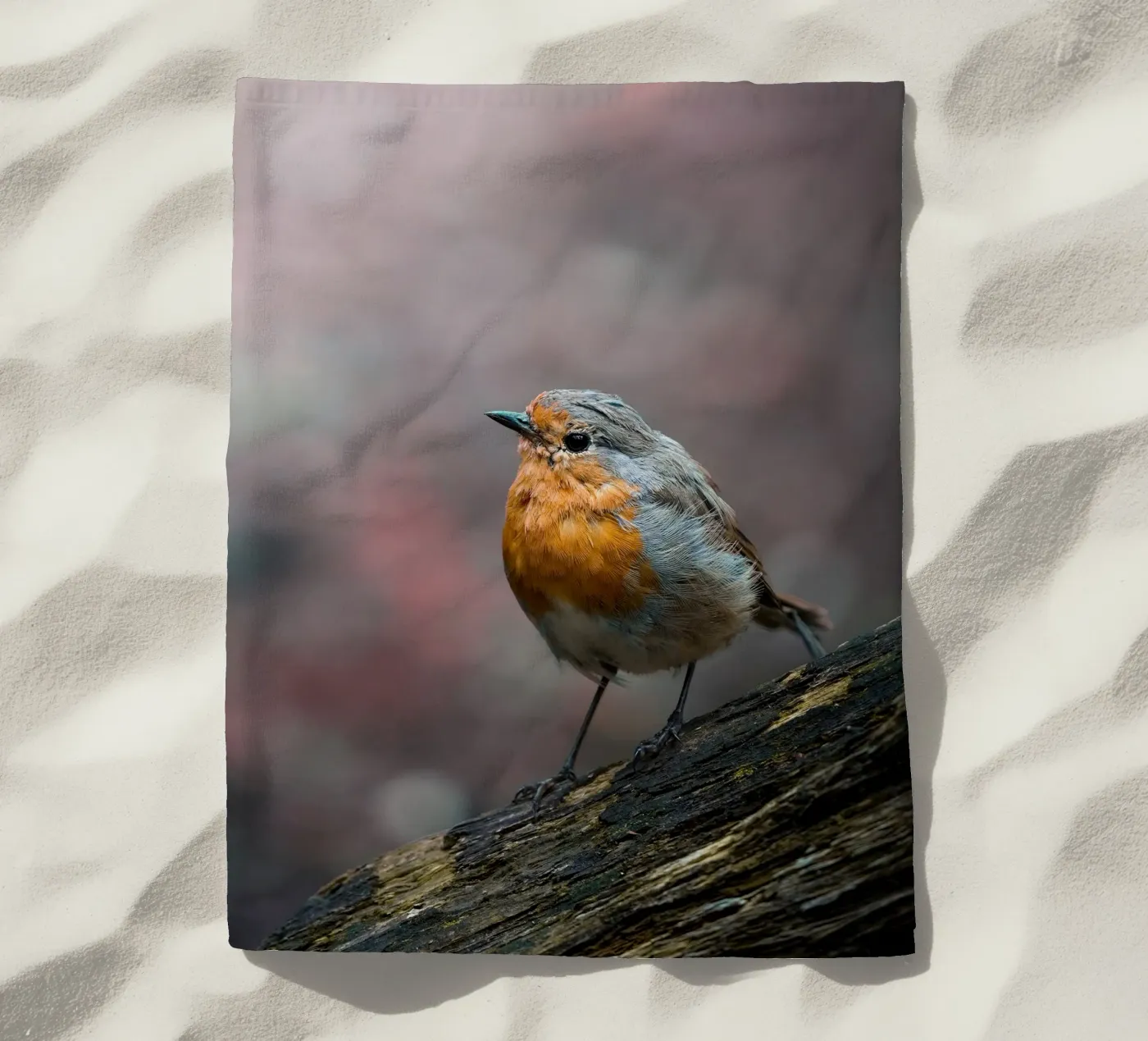 Robin Strandtuch von Tom's Wildlife