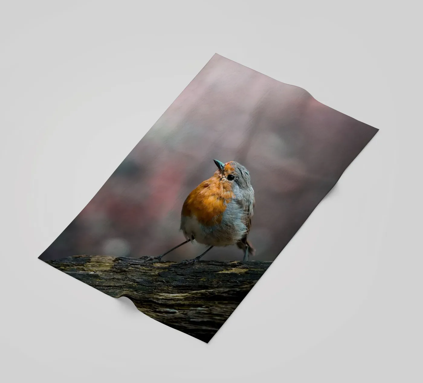 Robin strandhanddoek van Tom's Wildlife