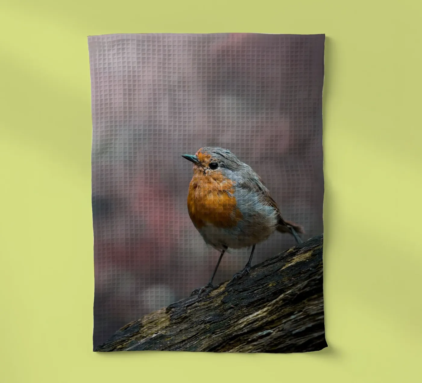 Robin torchon de Tom's Wildlife