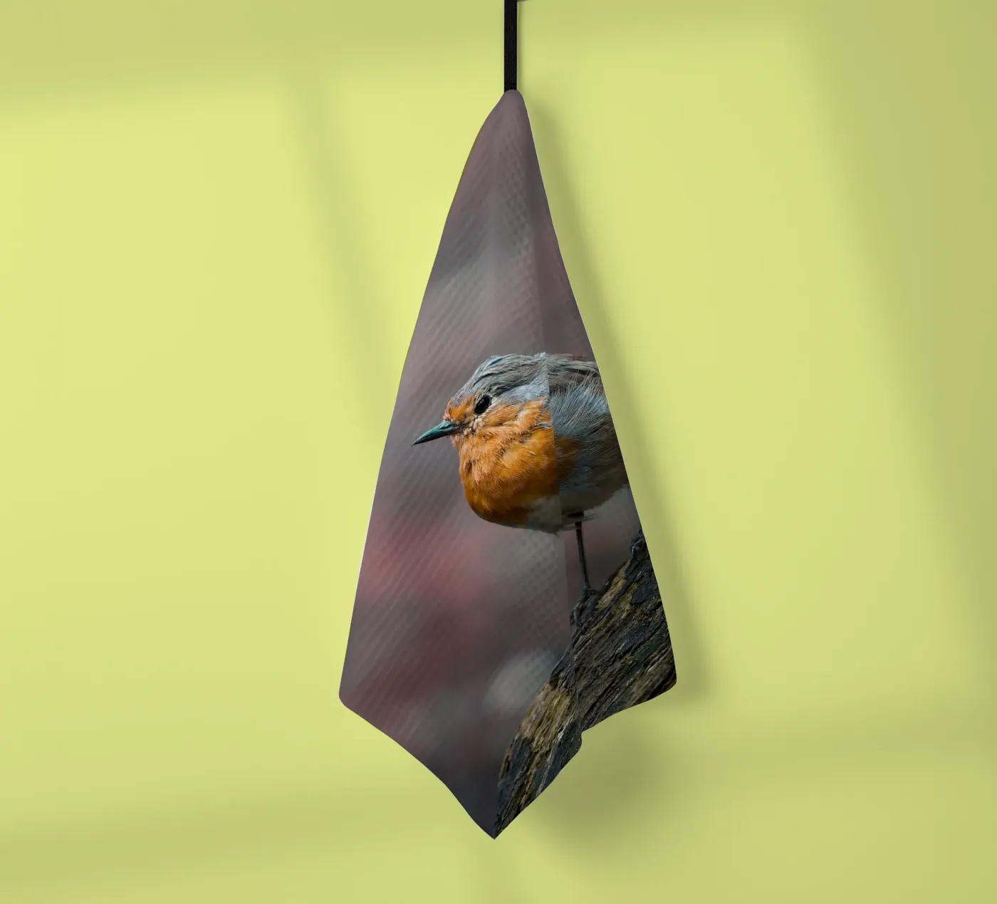 Robin torchon de Tom's Wildlife