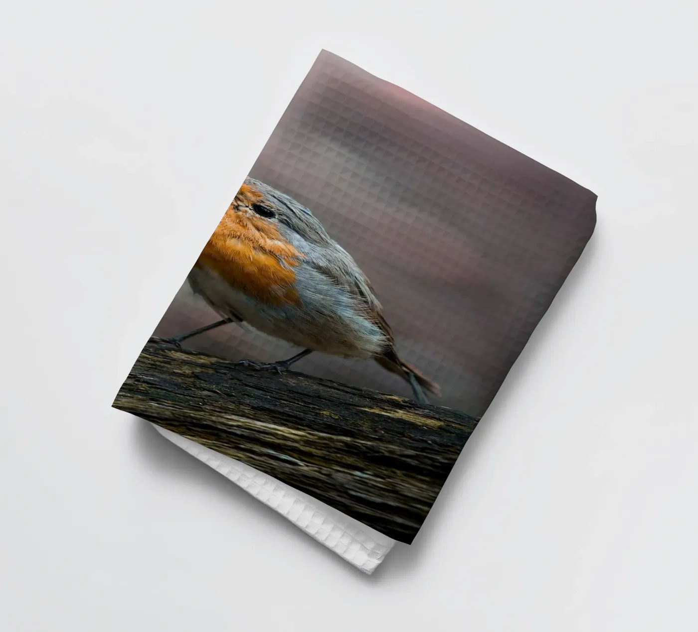 Robin torchon de Tom's Wildlife