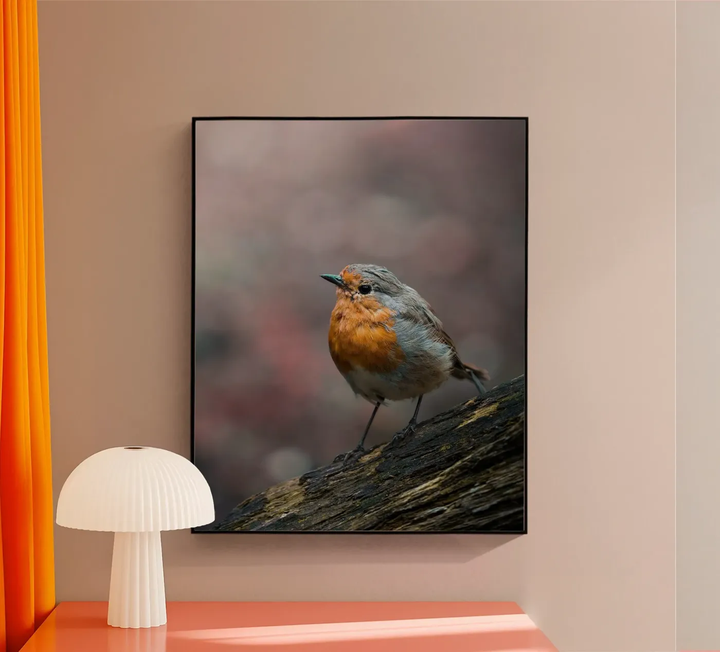 Robin plexiglas de Tom's Wildlife
