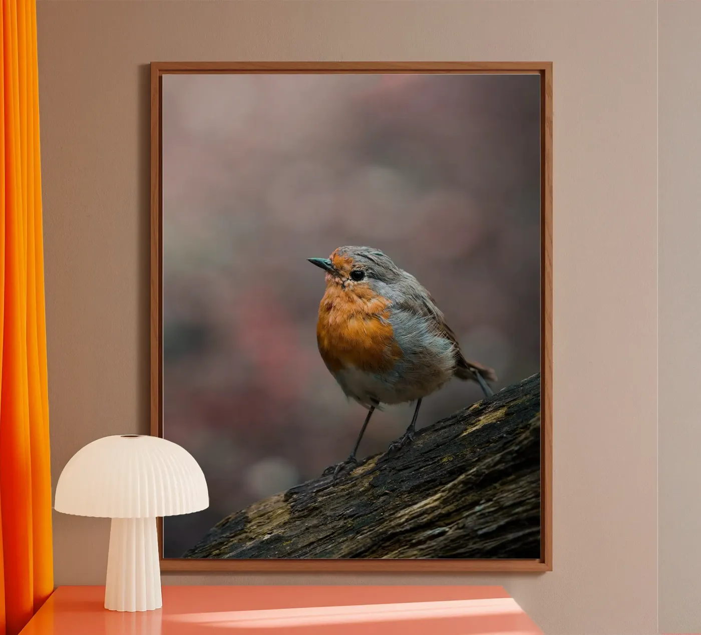 Robin alluminio dibond da Tom's Wildlife