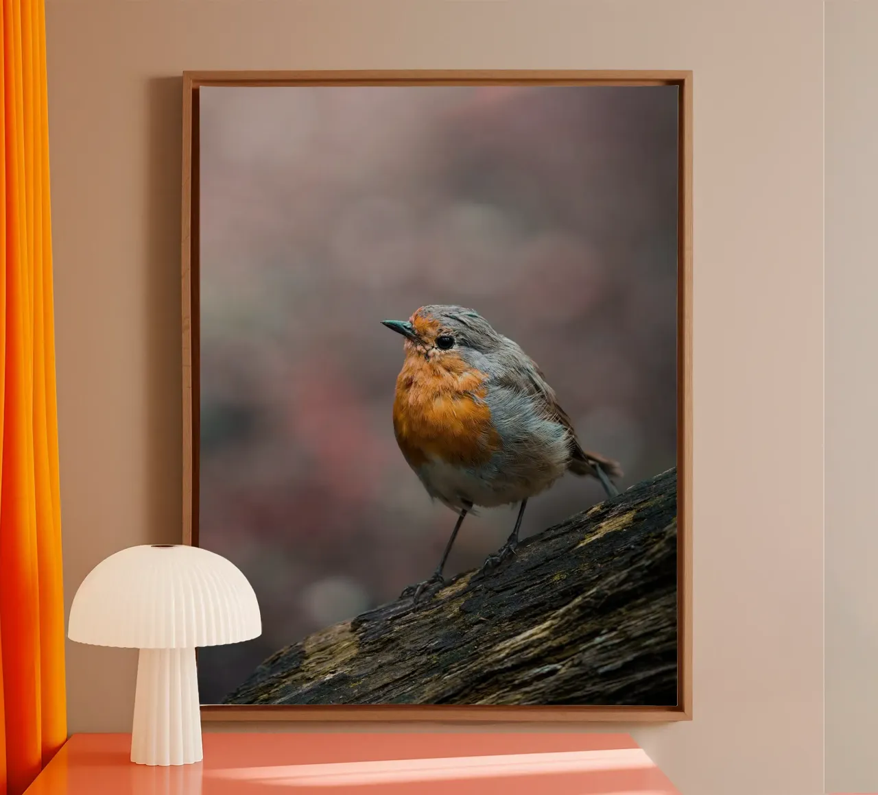 Robin canvas by Tom's Wildlife