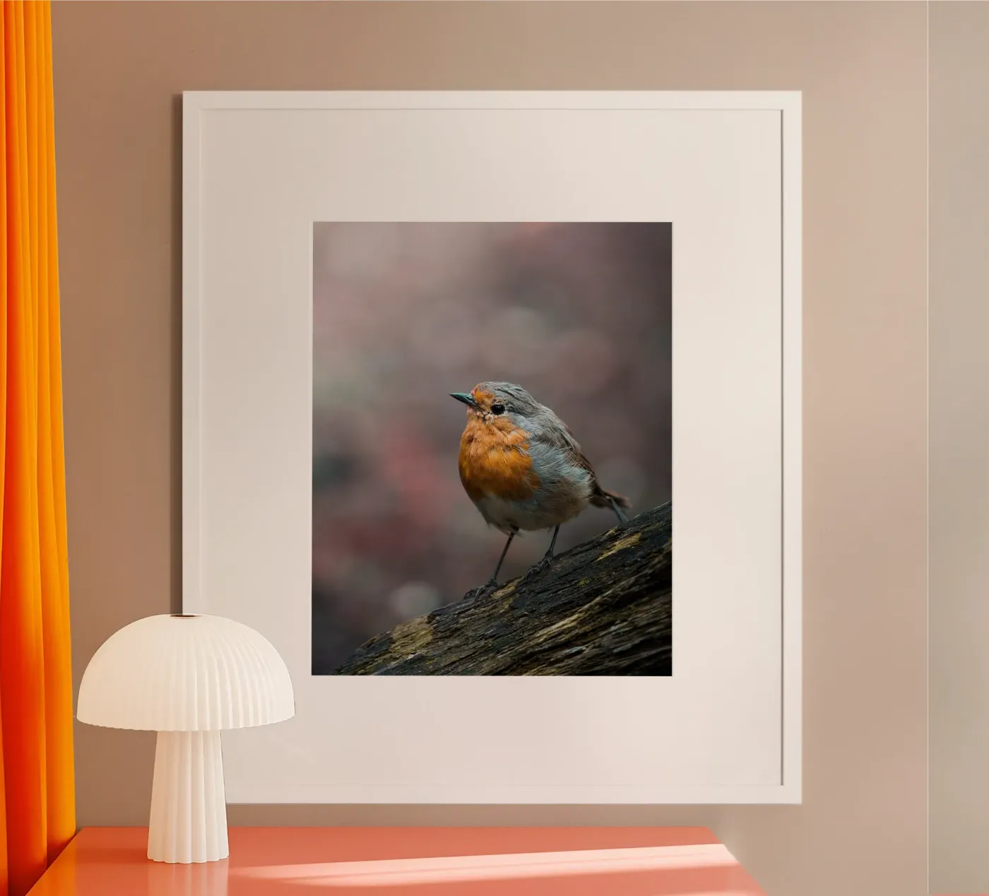Robin poster van Tom's Wildlife