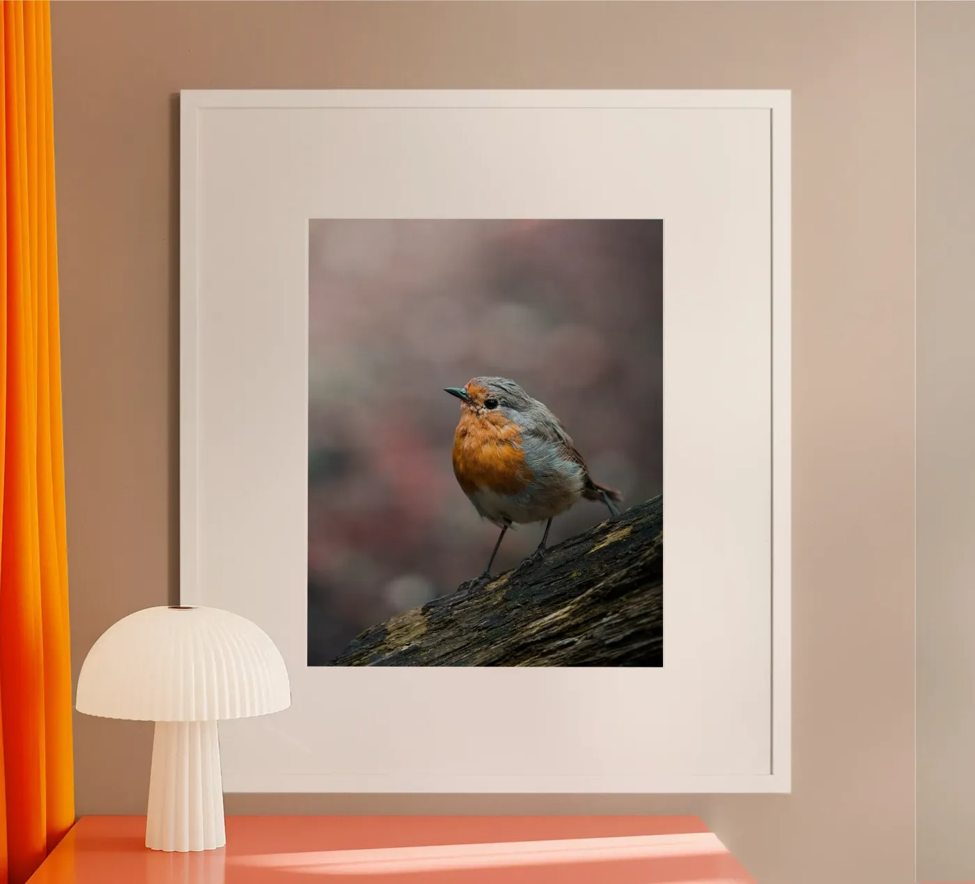 Robin poster da Tom's Wildlife