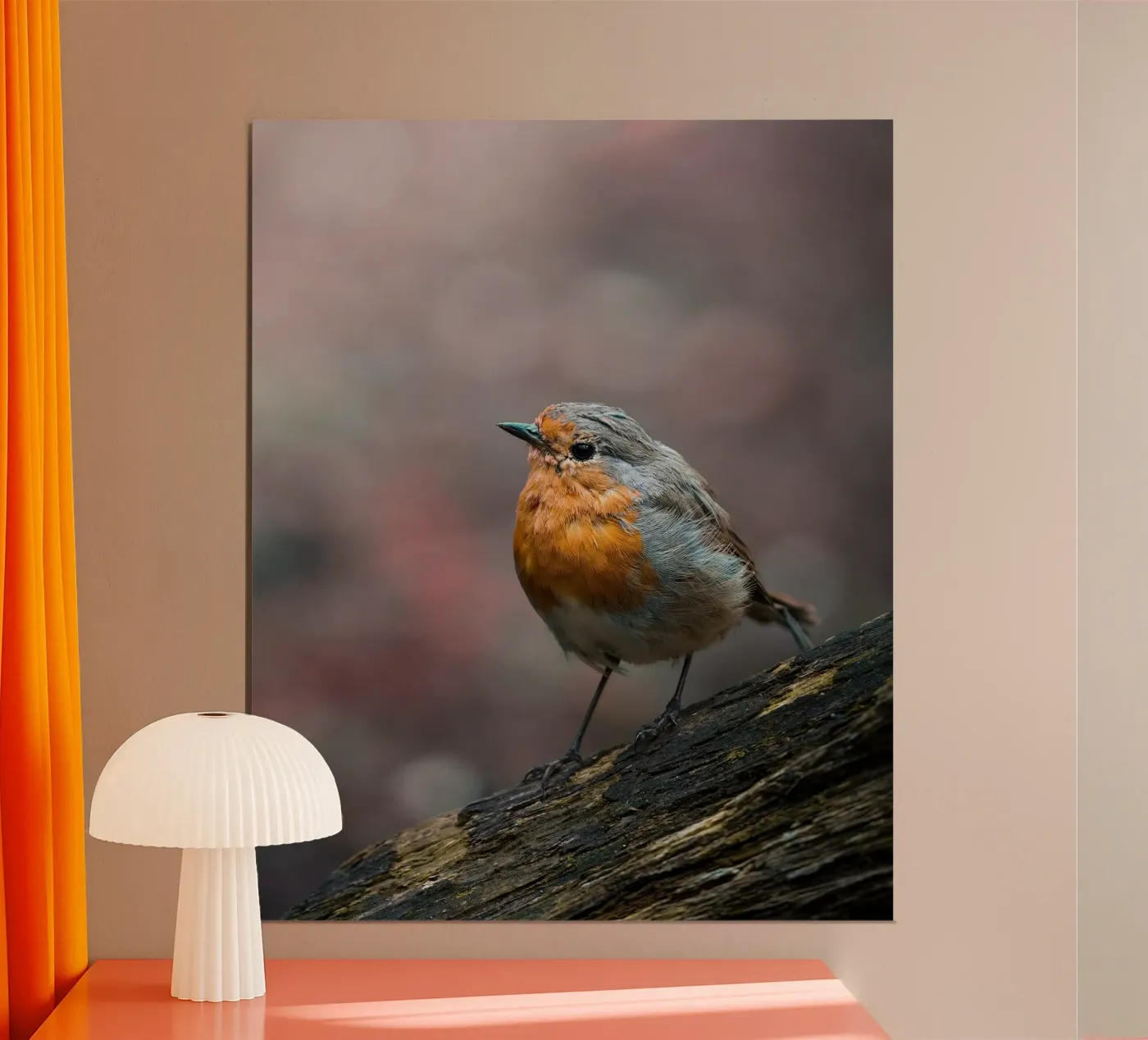 Robin poster van Tom's Wildlife