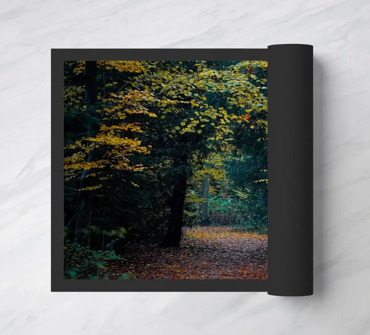 Percorso forestale zerbino da Tom's Wildlife