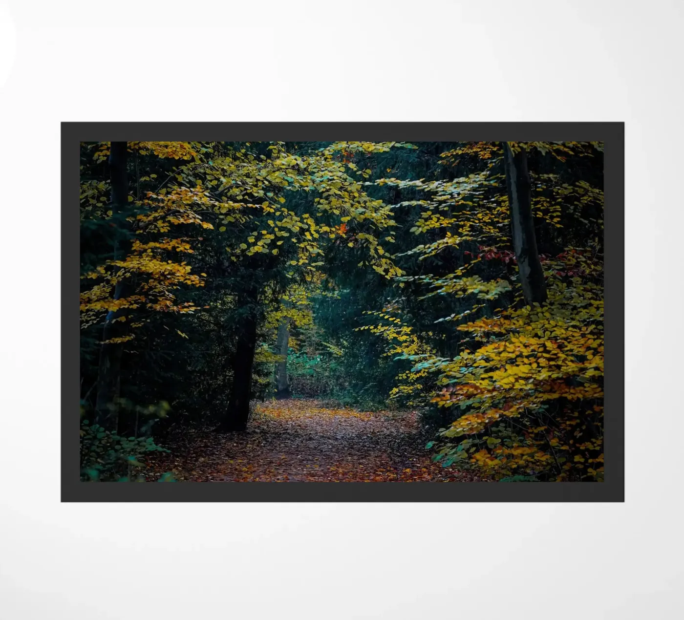 Waldpfad Fußmatte von Tom's Wildlife