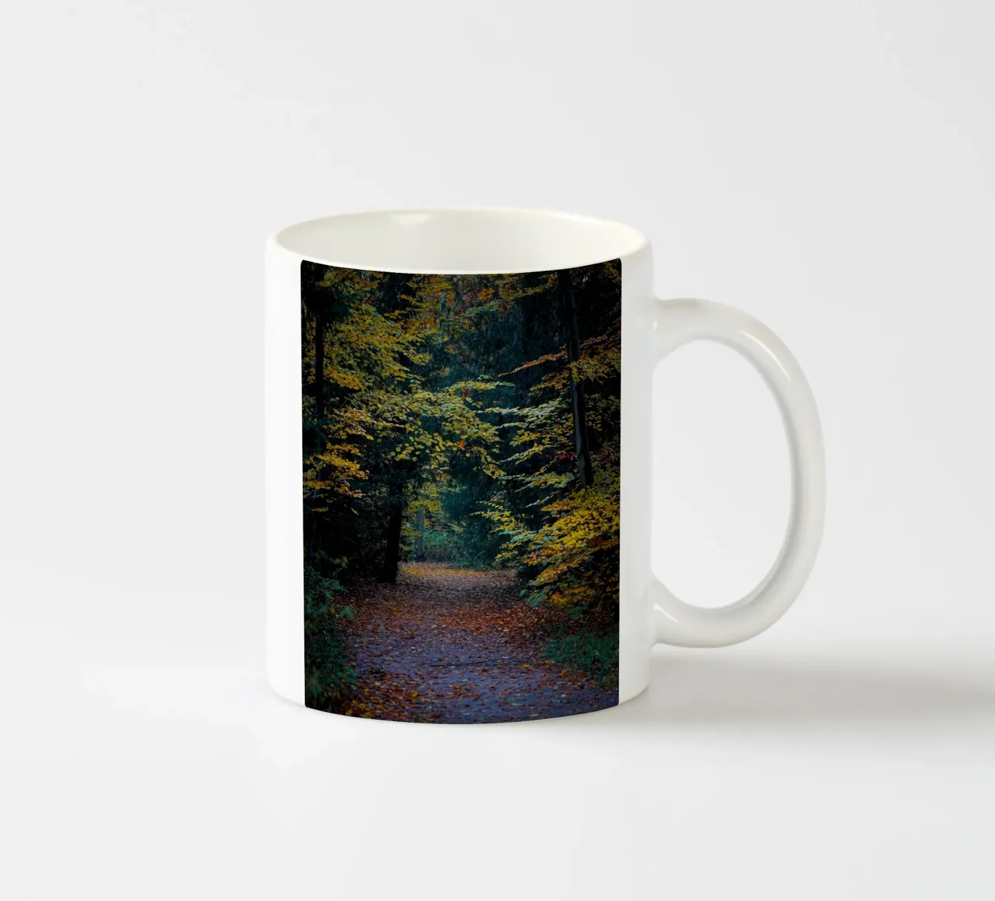 Forest pathway ceramic mug by Tom's Wildlife