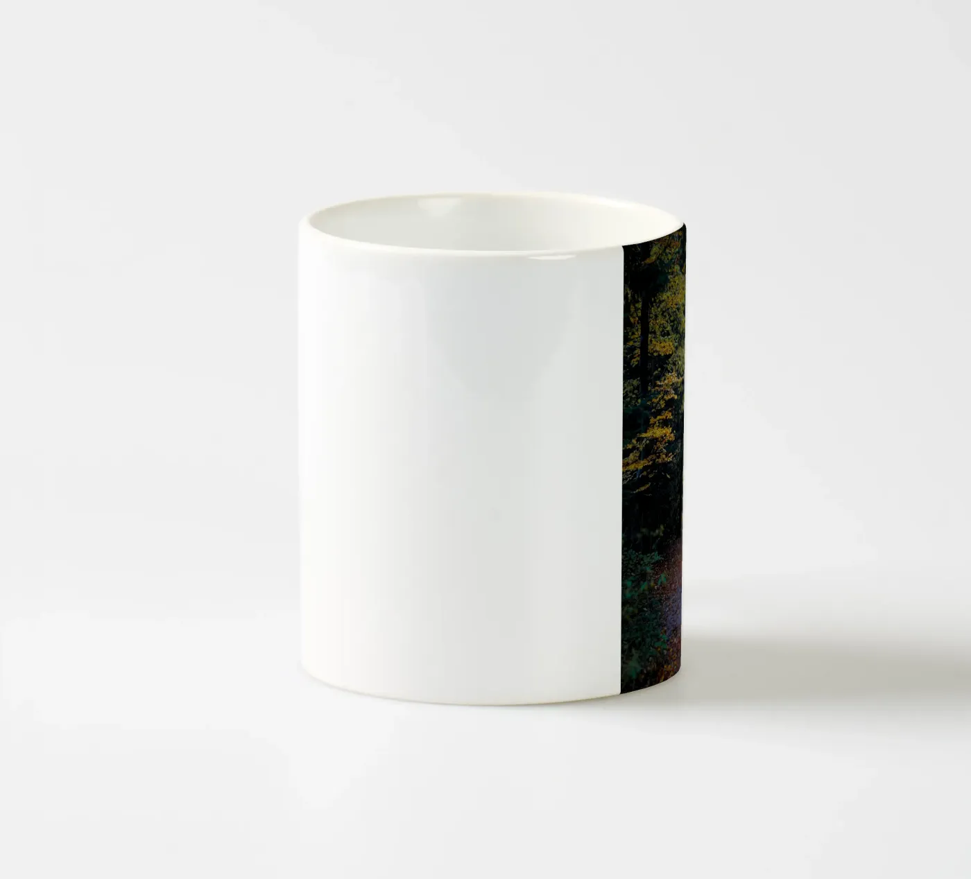 Forest pathway ceramic mug by Tom's Wildlife