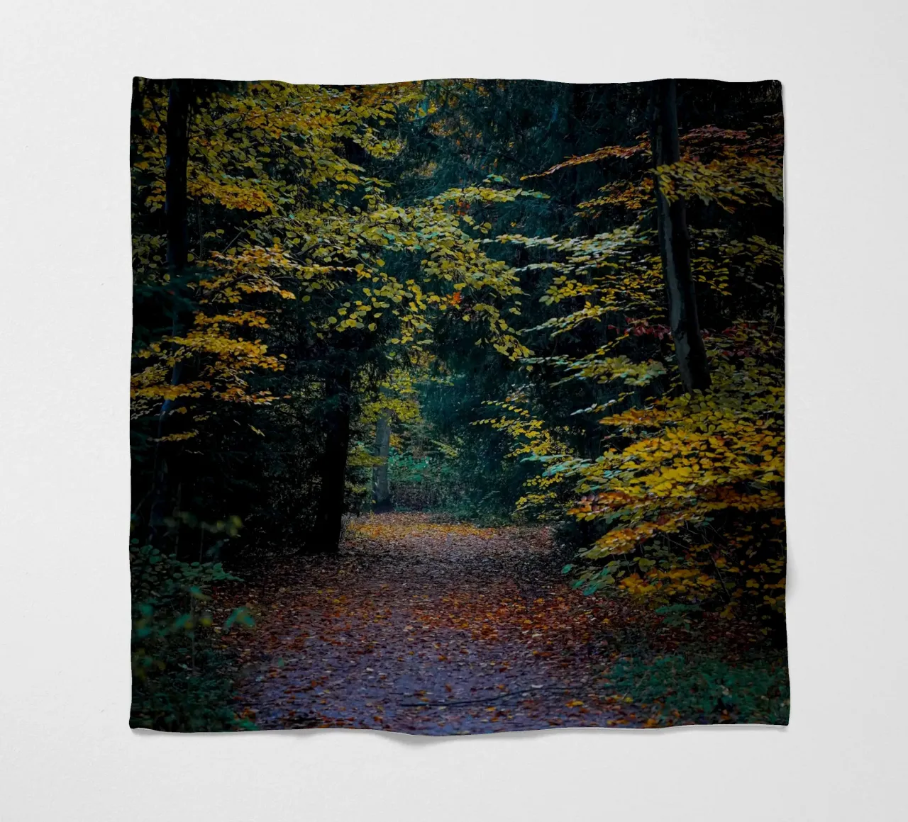 Forest pathway fleecedeken van Tom's Wildlife