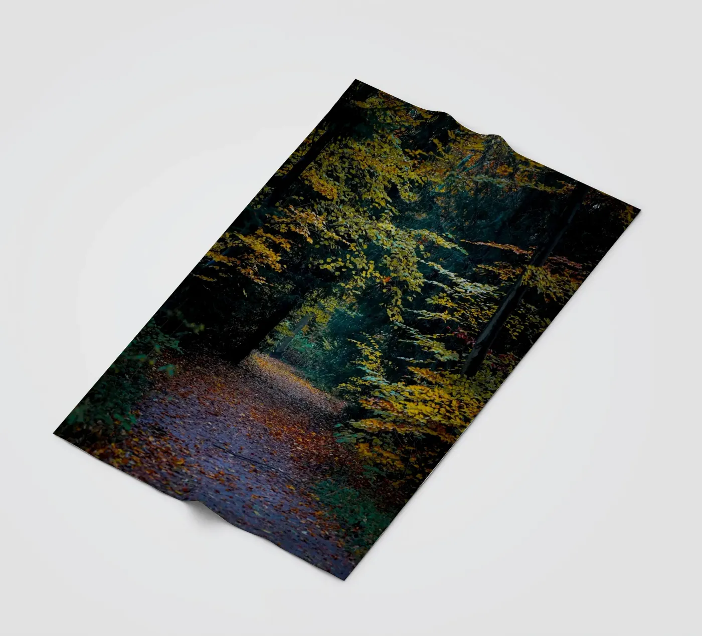 Forest pathway Fleecedecke von Tom's Wildlife