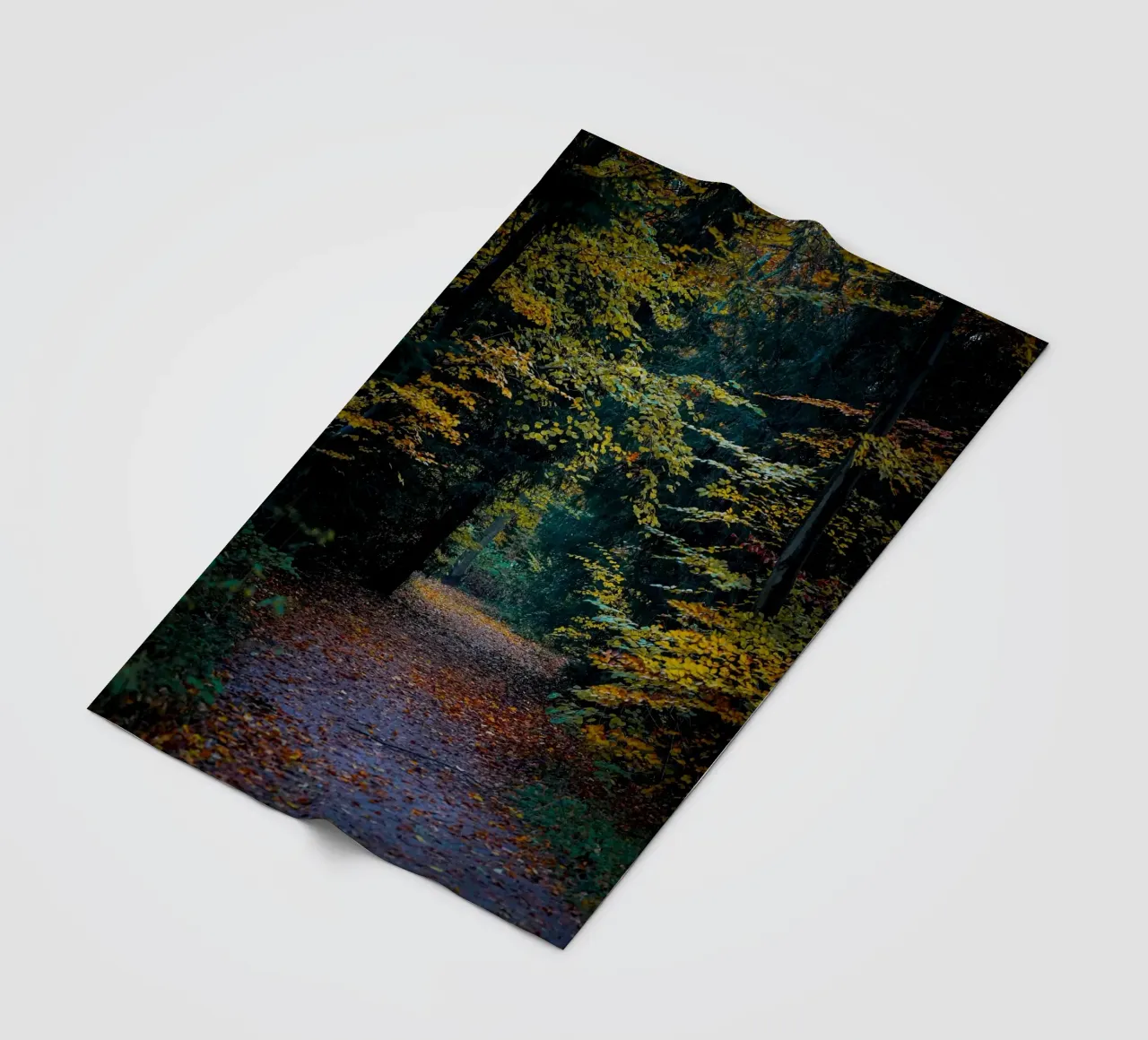 Forest pathway fleecedeken van Tom's Wildlife