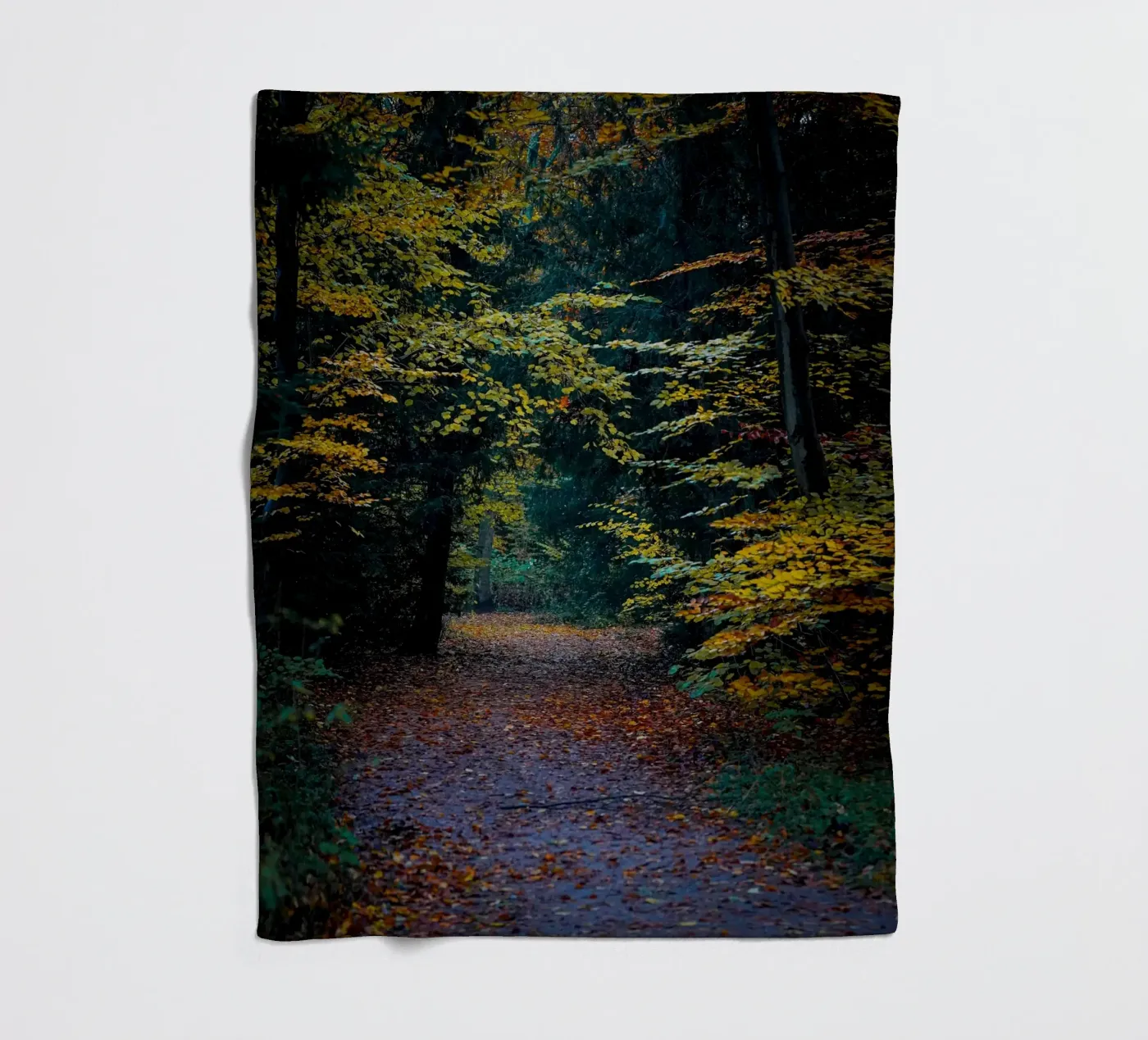 Forest pathway Fleecedecke von Tom's Wildlife