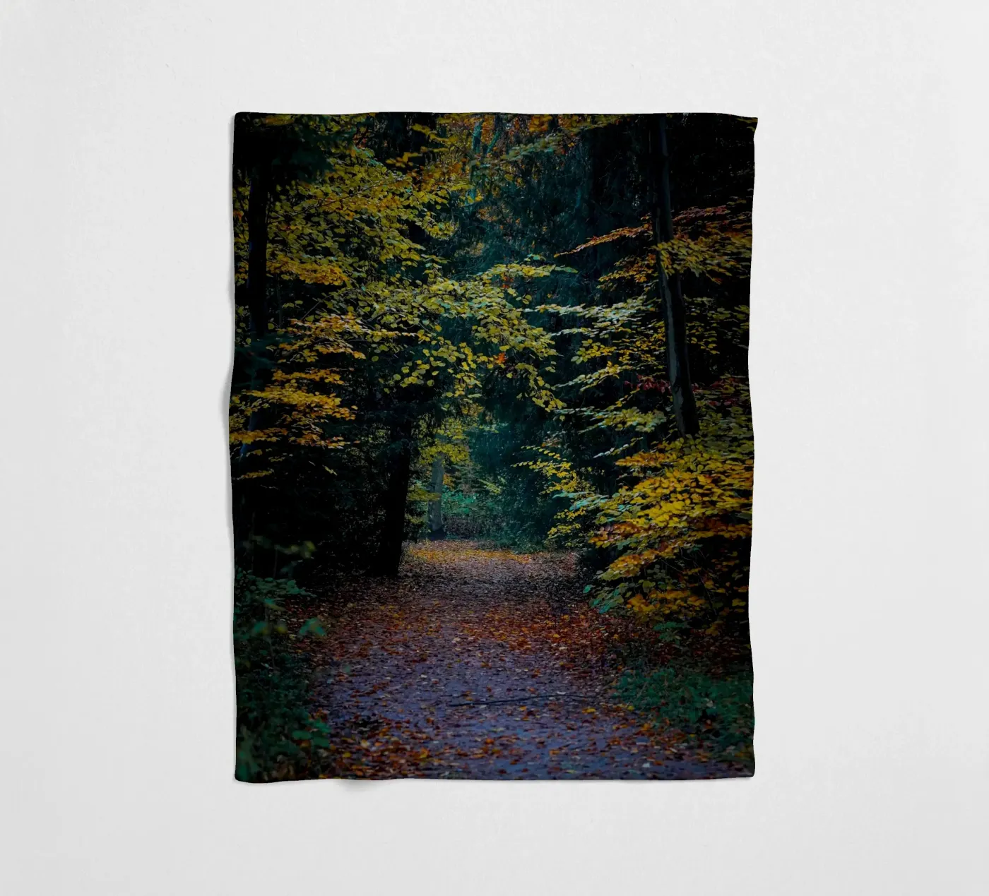 Forest pathway Fleecedecke von Tom's Wildlife