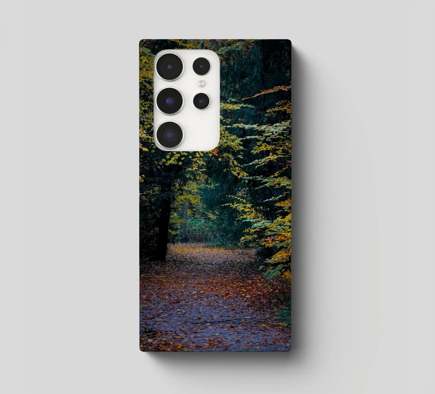 Percorso forestale cover samsung da Tom's Wildlife